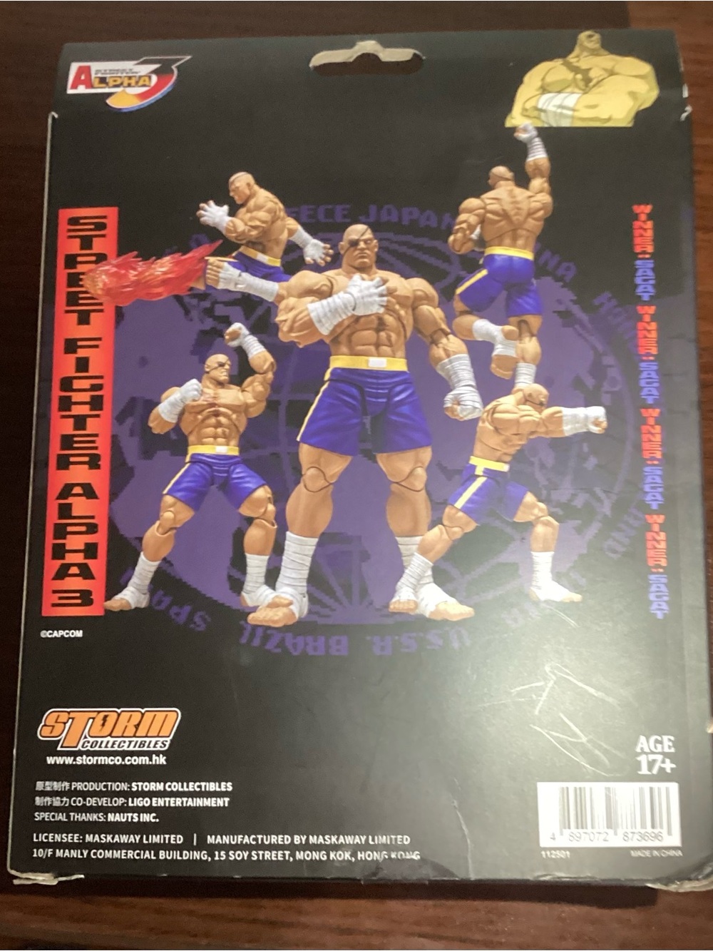 Street Fighter Alpha 3 Sagat Action Figure Sagat Storm Arena - Picture 14 of 16